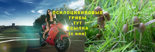 дживик Волосово