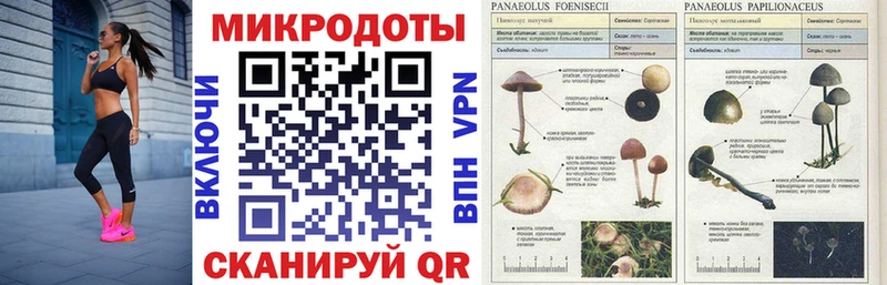 Псилоцибиновые грибы GOLDEN TEACHER  Норильск 